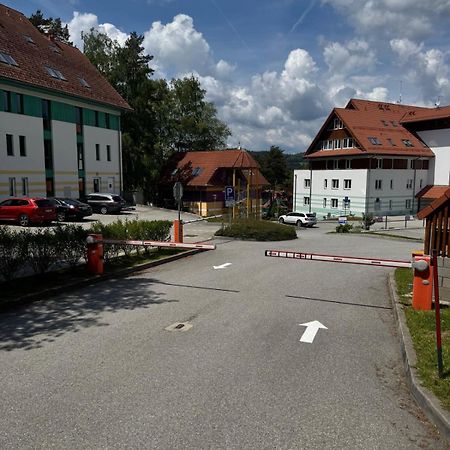 Apartman Kapy Lipno リプノ・ナト・ヴルタヴォウ エクステリア 写真