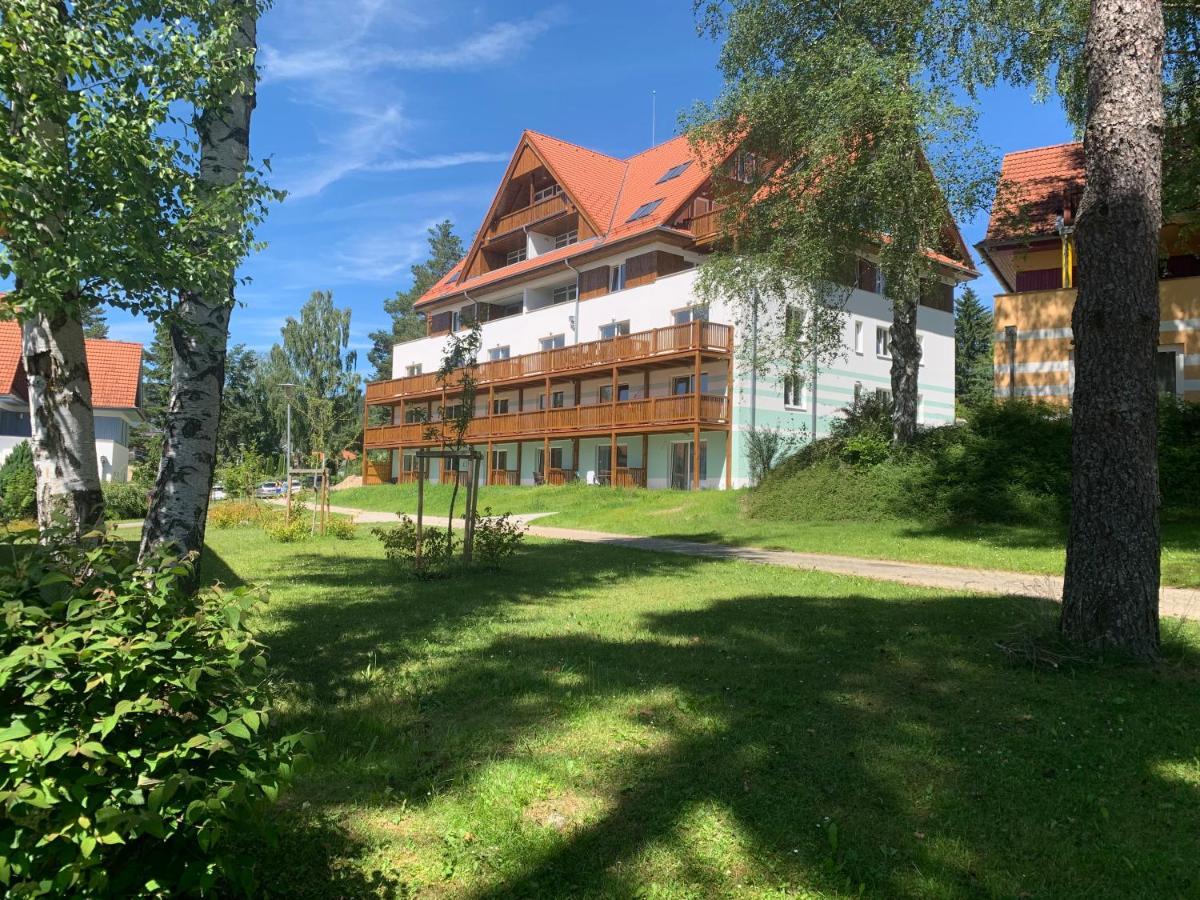 Apartman Kapy Lipno リプノ・ナト・ヴルタヴォウ エクステリア 写真