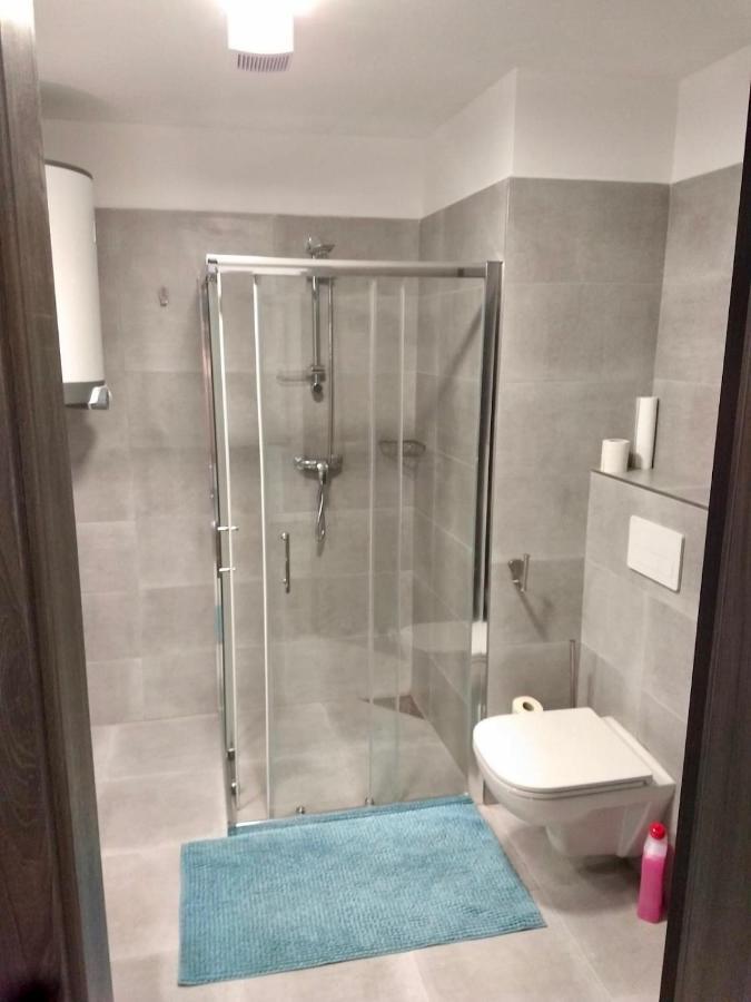 Apartman Kapy Lipno リプノ・ナト・ヴルタヴォウ エクステリア 写真